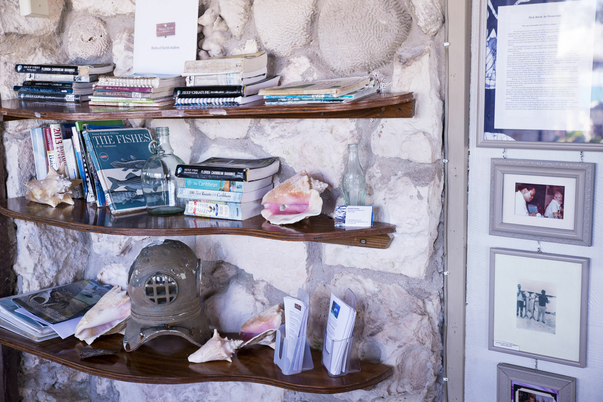 Small Hope Bay Lodge Andros Town Buitenkant foto